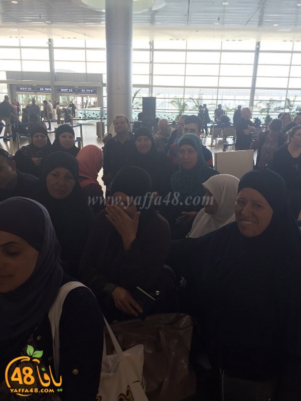 lud 3omra plane lud (6).jpg